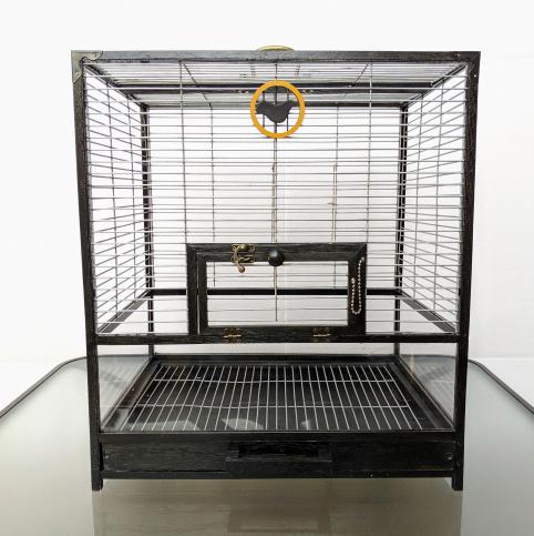 Client Spotlight: Paul’s Custom-Built Bird Cages 